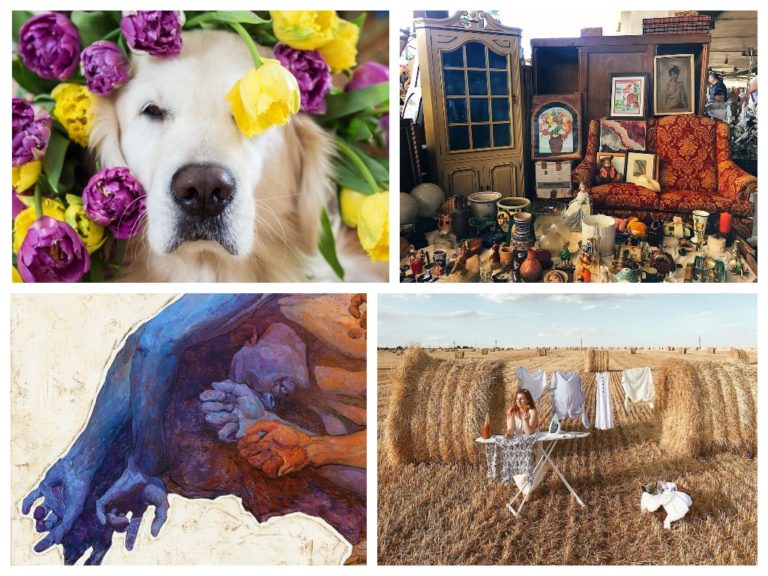 MyCollages 768x576 - 5 каналов инстаграм, которые заменят половину вашей ленты и наполнят ее самыми правильными эмоциями