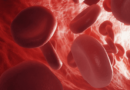 The Importance Of Hemoglobin