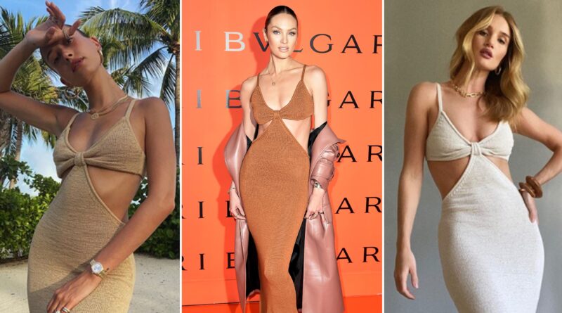 Cult Gaia Serita Dress Celebrities
